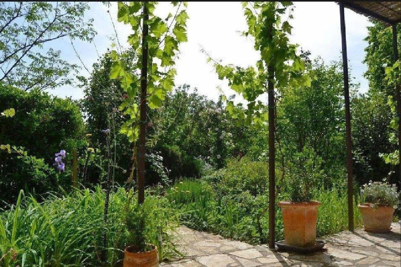 Apiflore Garéoult Extérieur photo