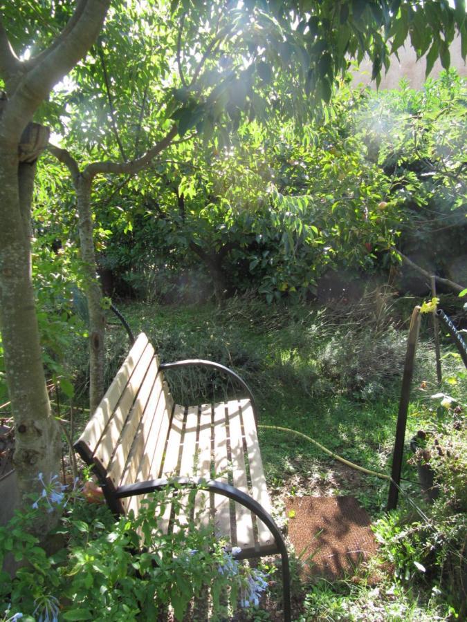 Apiflore Garéoult Extérieur photo