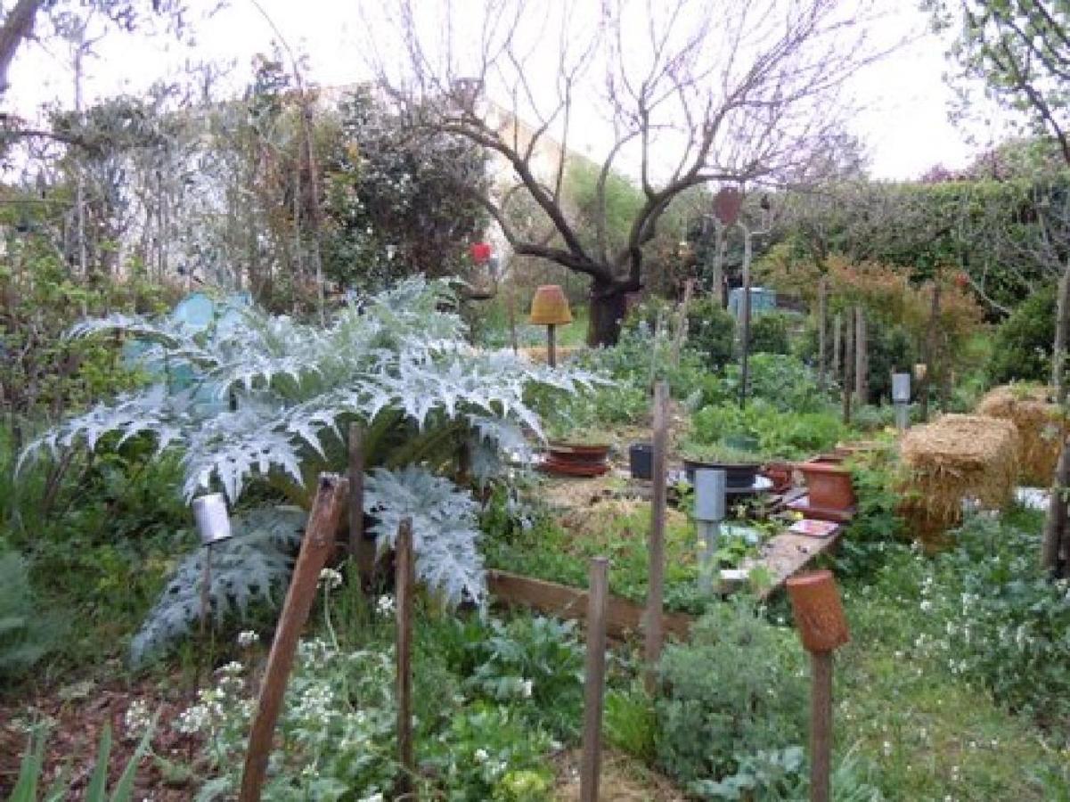 Apiflore Garéoult Extérieur photo