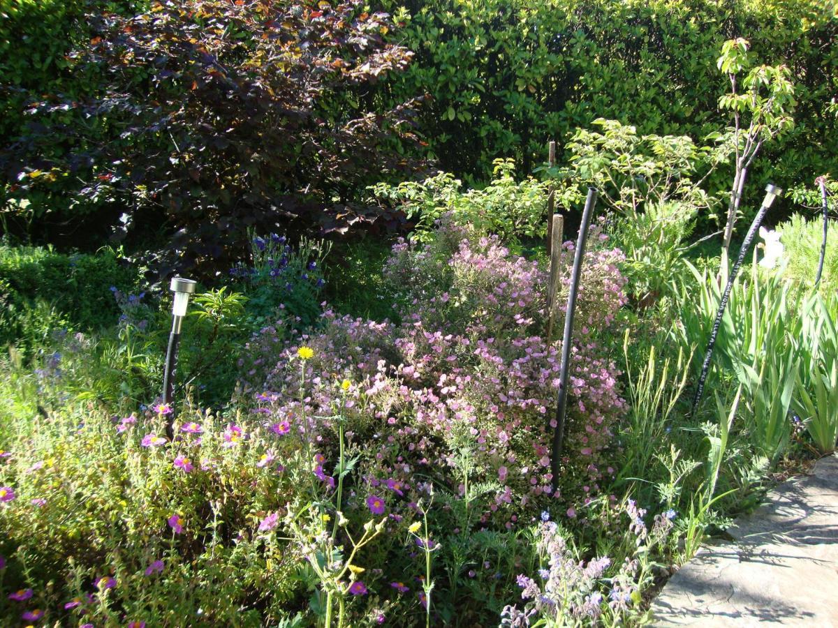 Apiflore Garéoult Extérieur photo